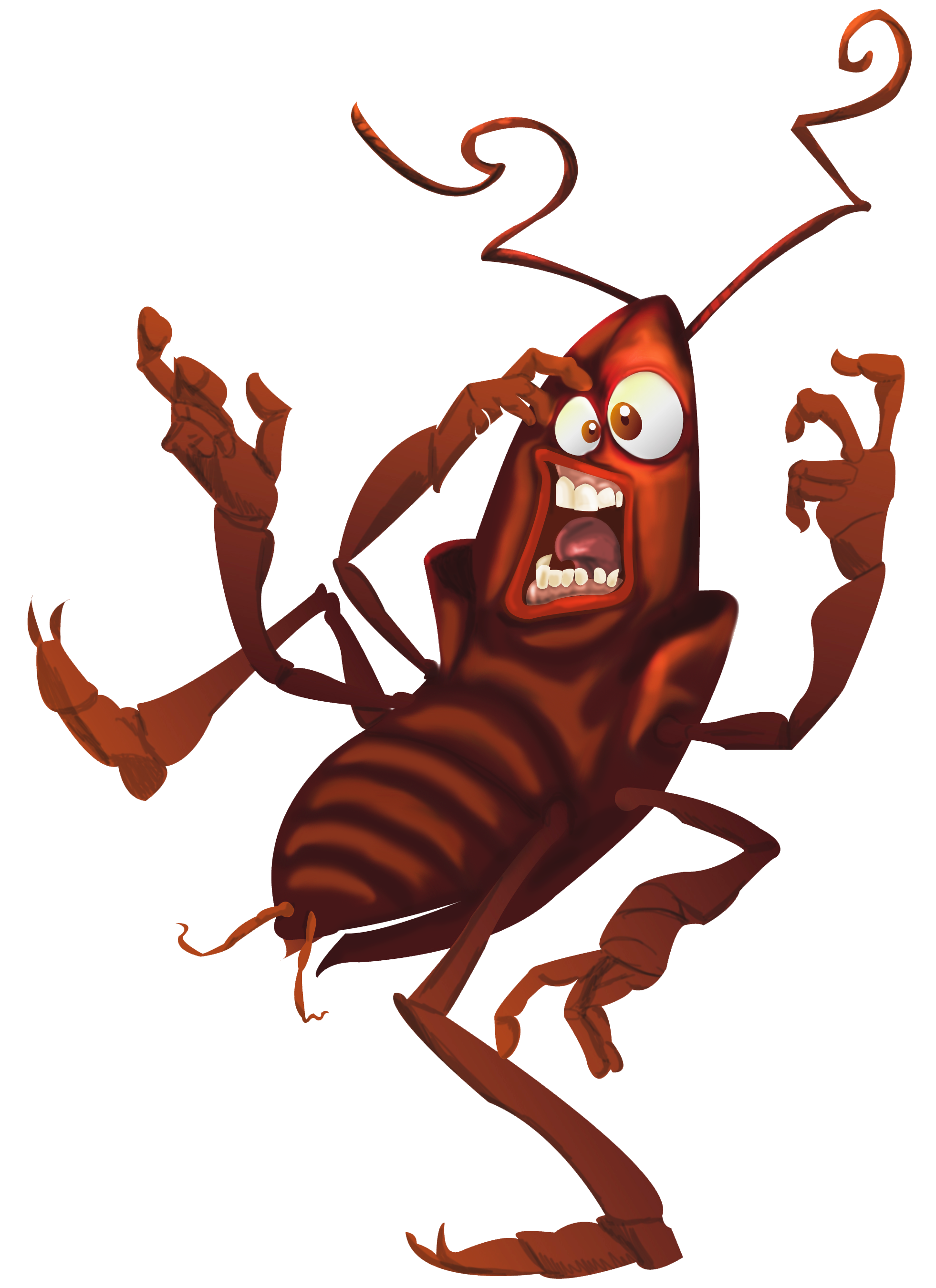 cucasss.png