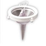 Pera perfecta diamante